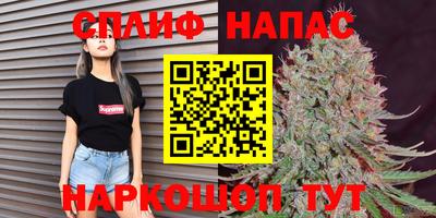 гашик Лениногорск